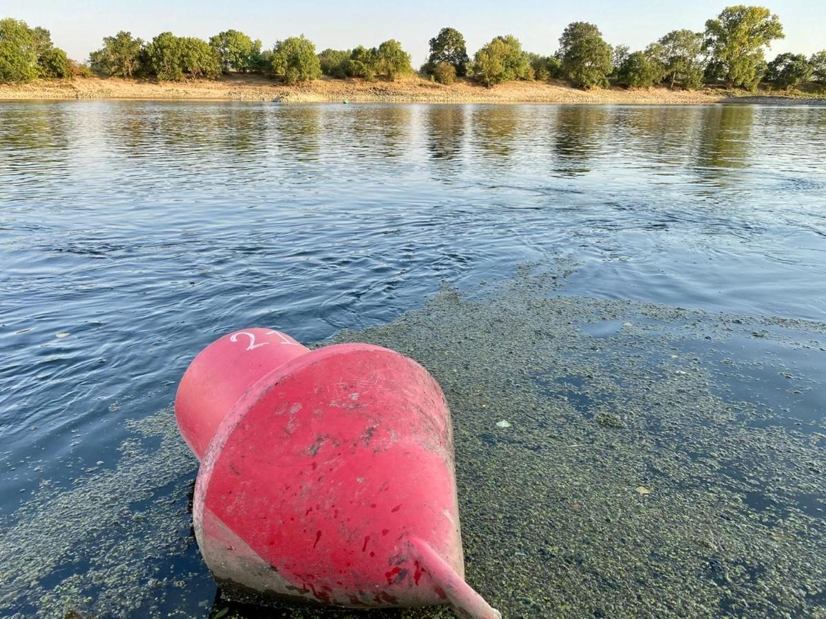 Gite Loirizon Vue Loire 4 Personnes Ingrandes  Exteriör bild