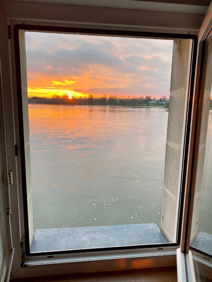 Gite Loirizon Vue Loire 4 Personnes Ingrandes  Exteriör bild