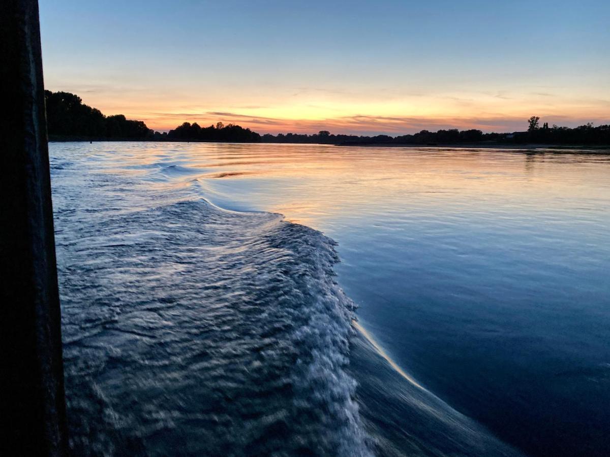 Gite Loirizon Vue Loire 4 Personnes Ingrandes  Exteriör bild