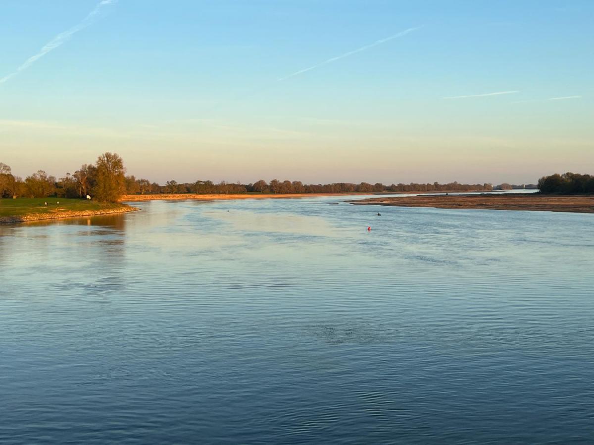 Gite Loirizon Vue Loire 4 Personnes Ingrandes  Exteriör bild