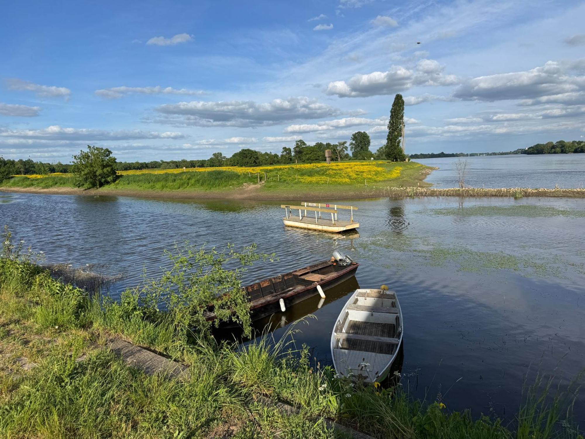 Gite Loirizon Vue Loire 4 Personnes Ingrandes  Exteriör bild